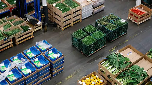 ERP solution Fresh food supply chain