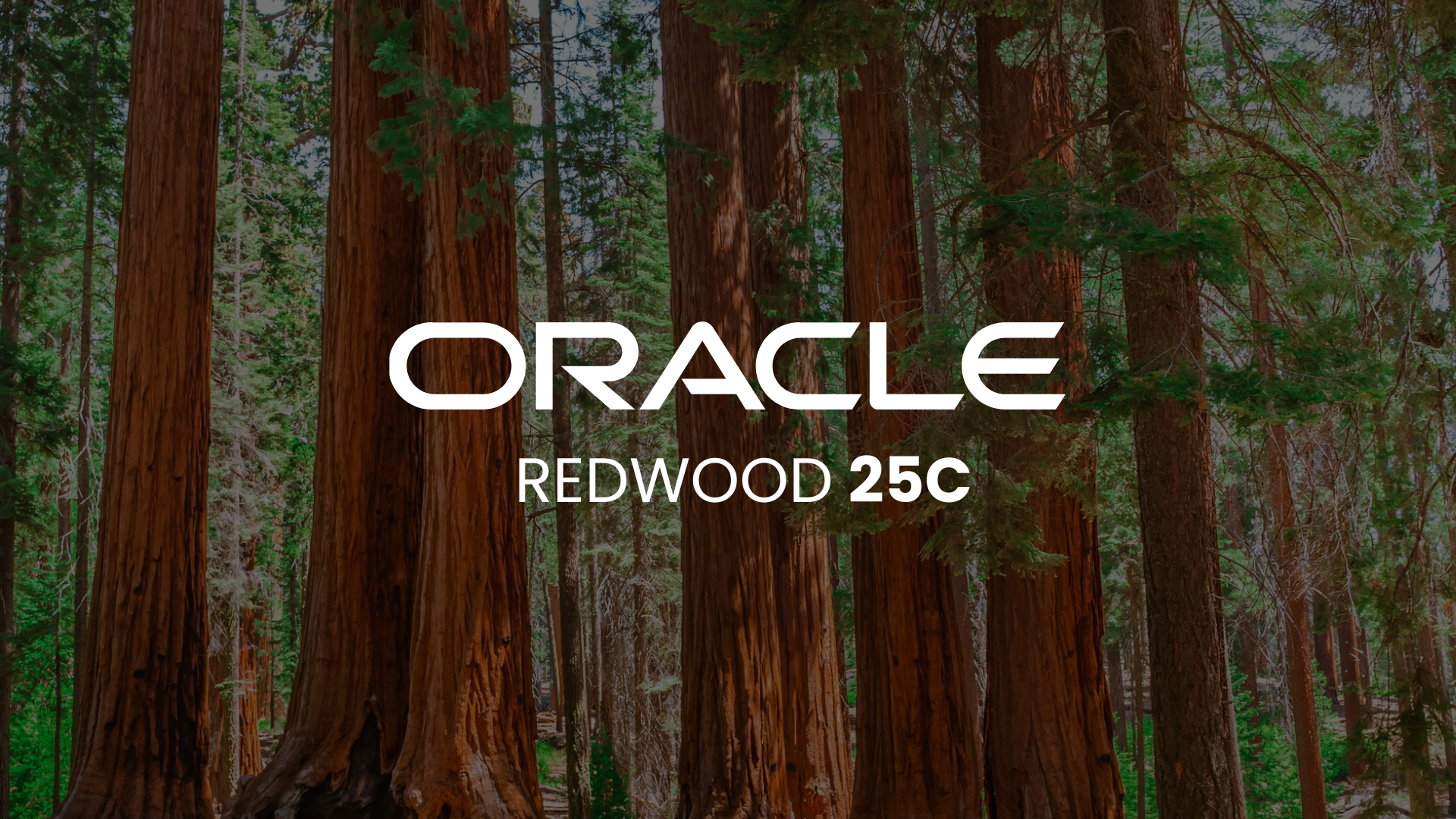 Oracle Cloud Redwood 25B Release - April 2025 UI and Module Enhancements