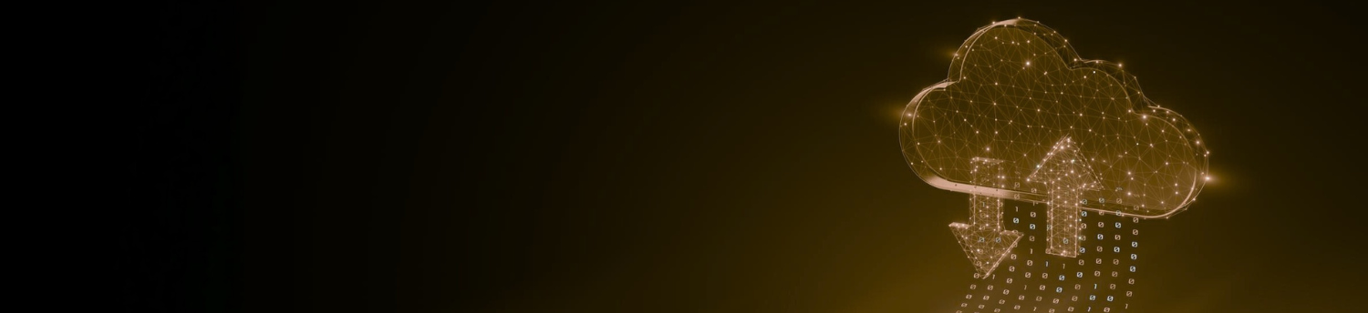 SAP Services & Consulting